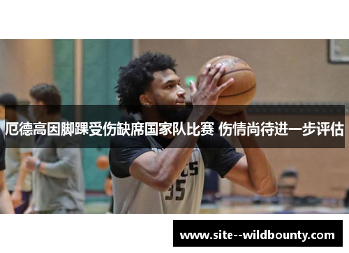 厄德高因脚踝受伤缺席国家队比赛 伤情尚待进一步评估