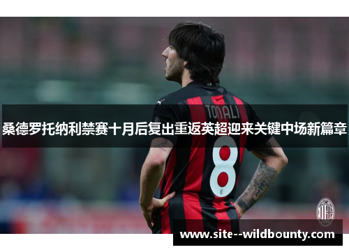 桑德罗托纳利禁赛十月后复出重返英超迎来关键中场新篇章