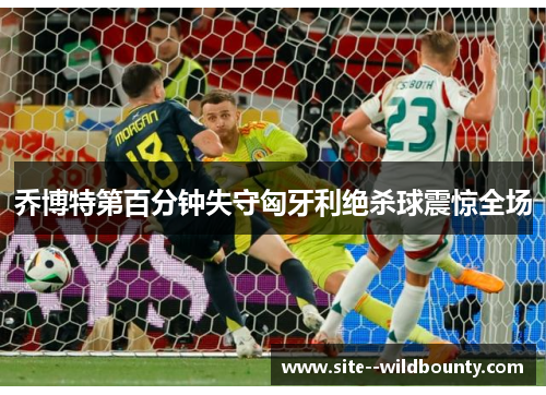 乔博特第百分钟失守匈牙利绝杀球震惊全场 乔博特第百分钟失守匈牙利绝杀球震惊全场