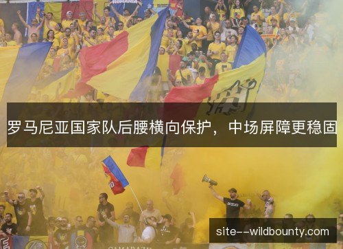 罗马尼亚国家队后腰横向保护，中场屏障更稳固